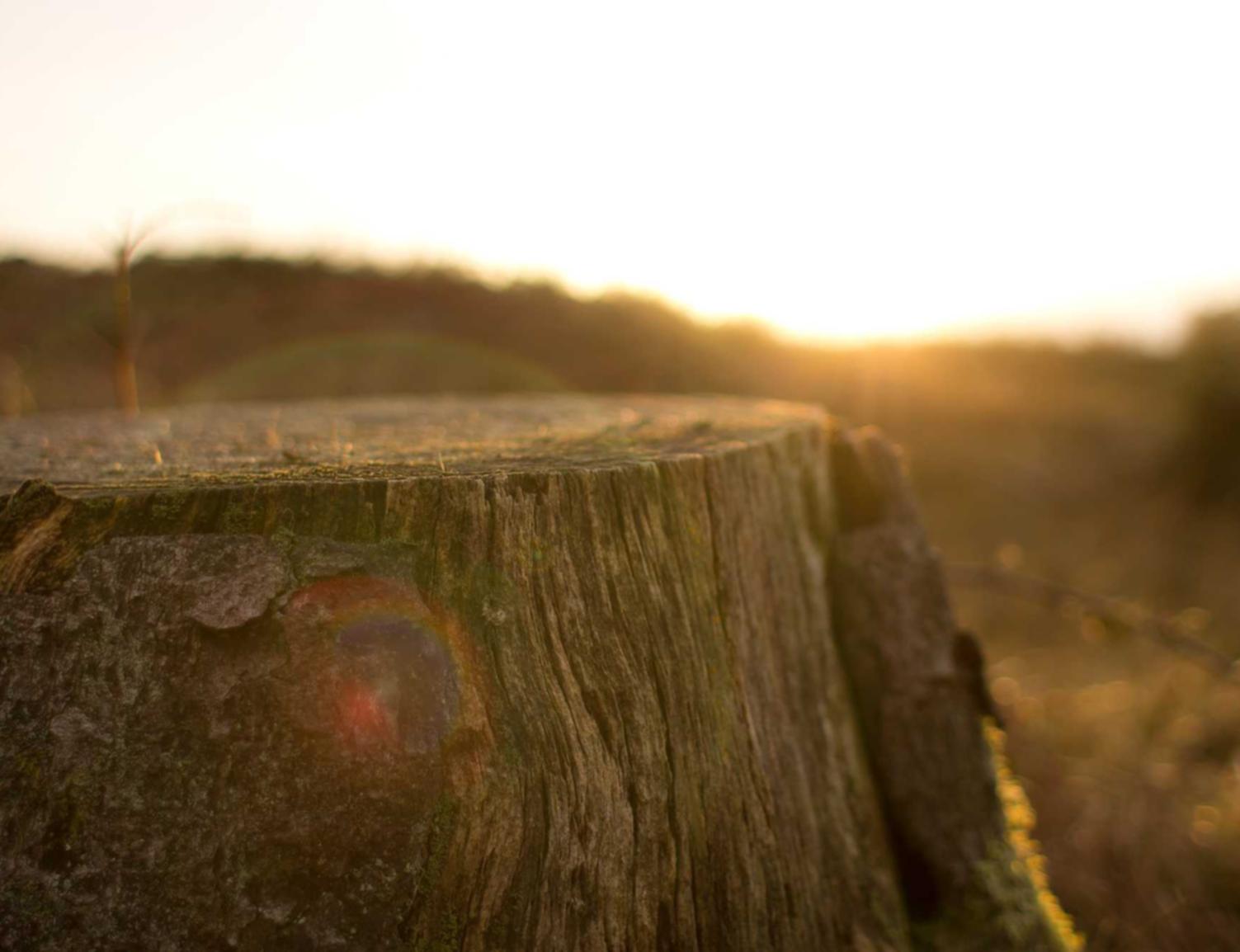 沃派星燃卡实名账号：实名制对于网络安全和信息安全的重要作用
