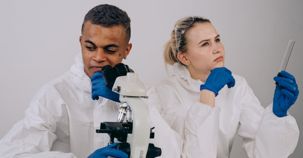 兔子ip实名账号：网上购买鸡蛋平台