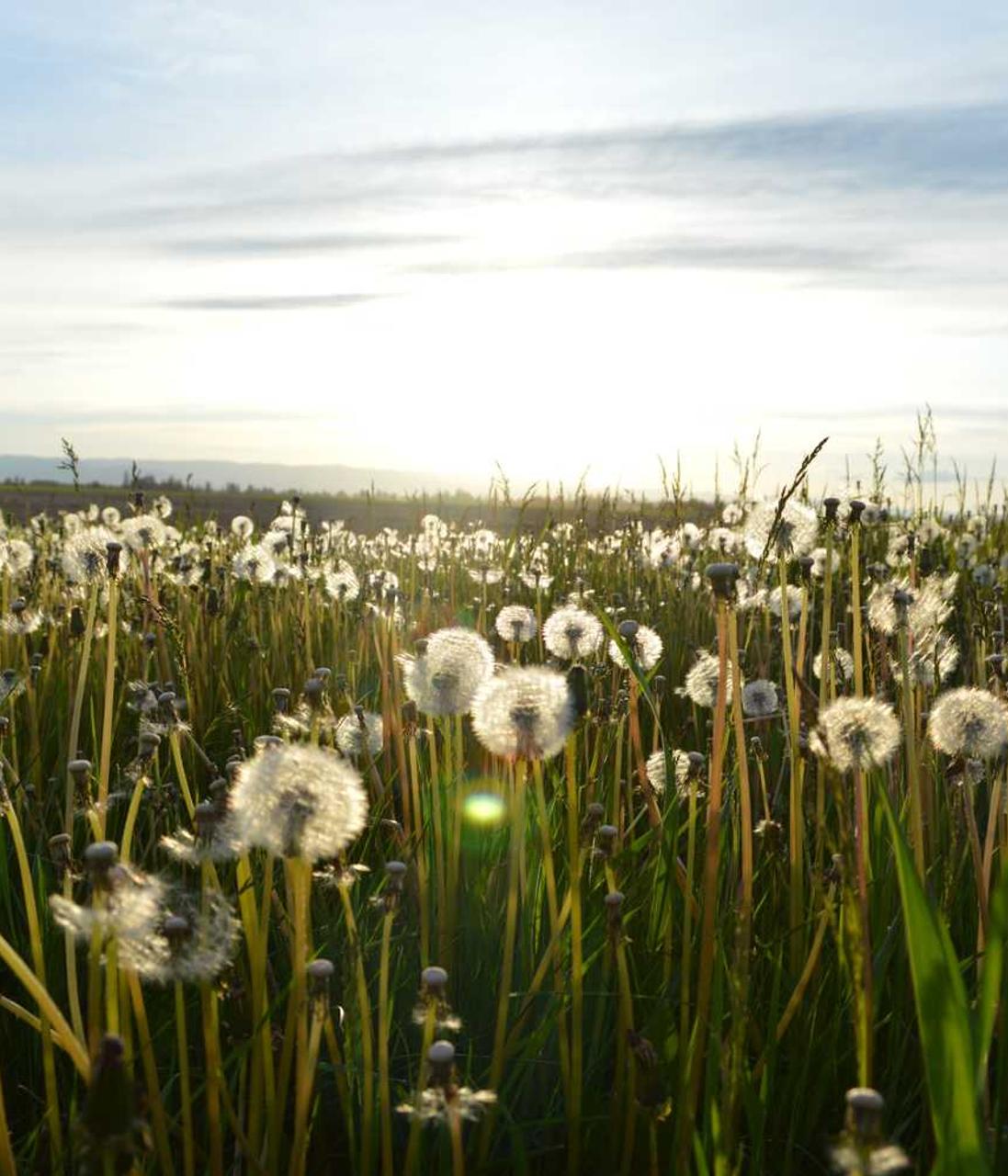 DDOS网页端源码|如何从生物识别技术防范黑客攻击