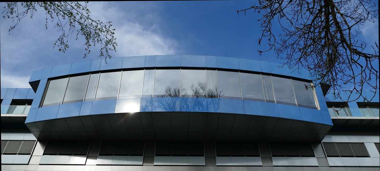 七喜联盟菩提学院app详情下载教程