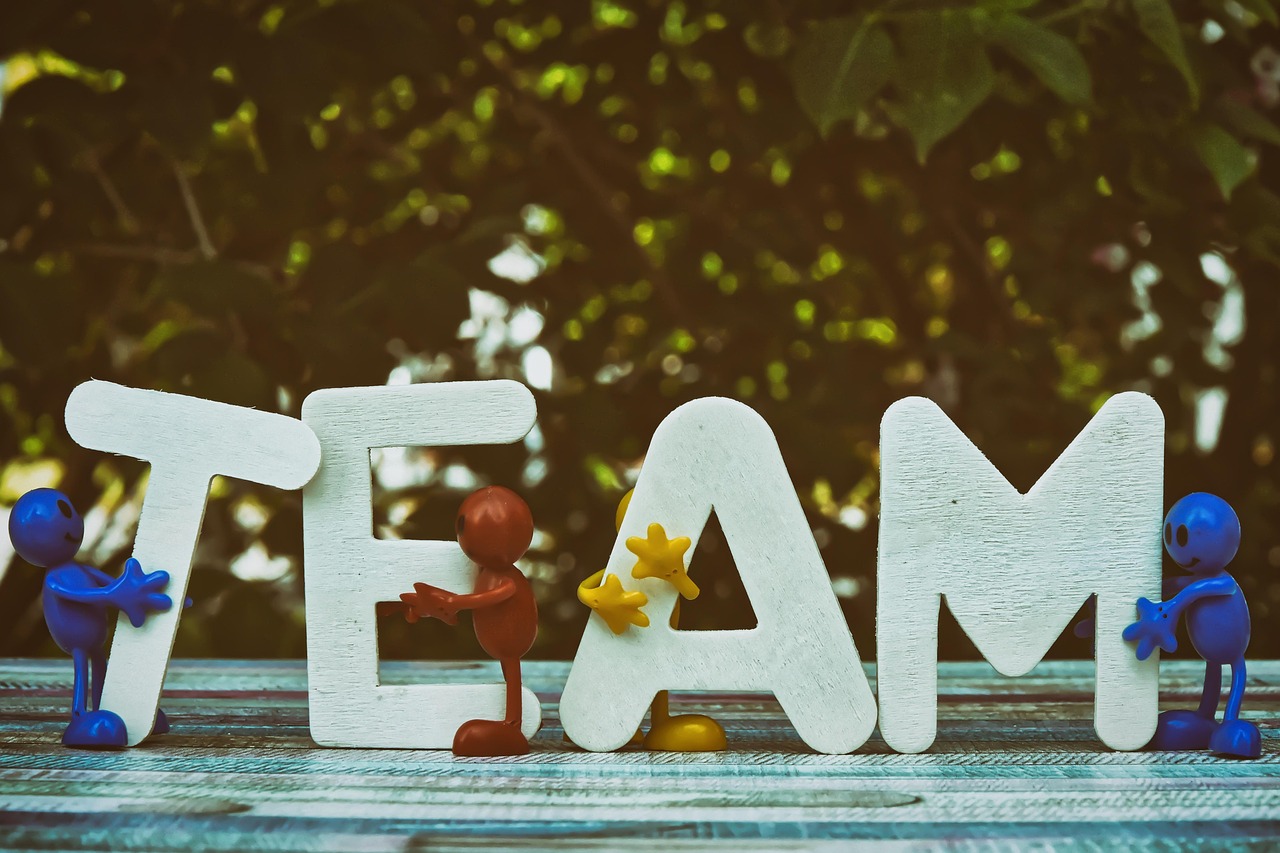 蓝猫移动实名账号：福建购买道具平台