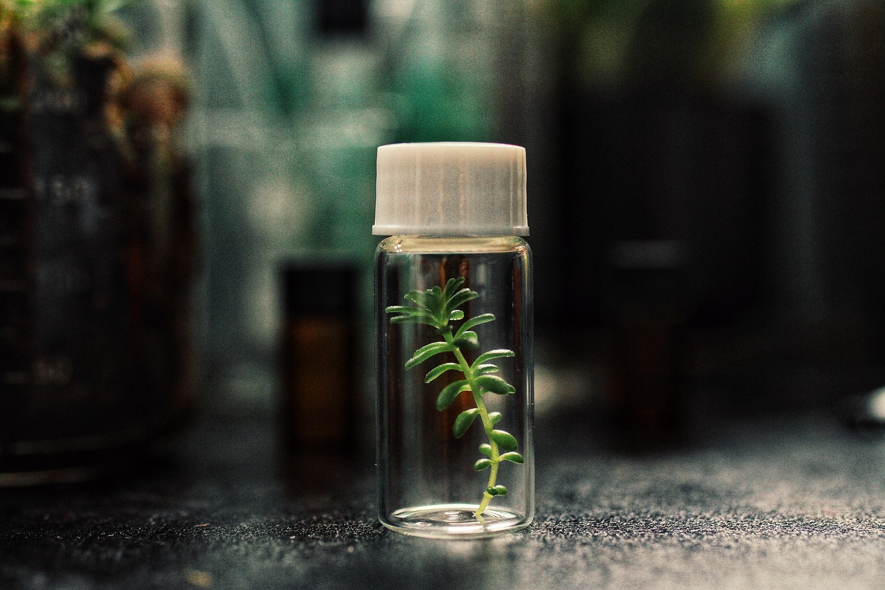 DDOS网页端源码|江苏商标注册代理材料