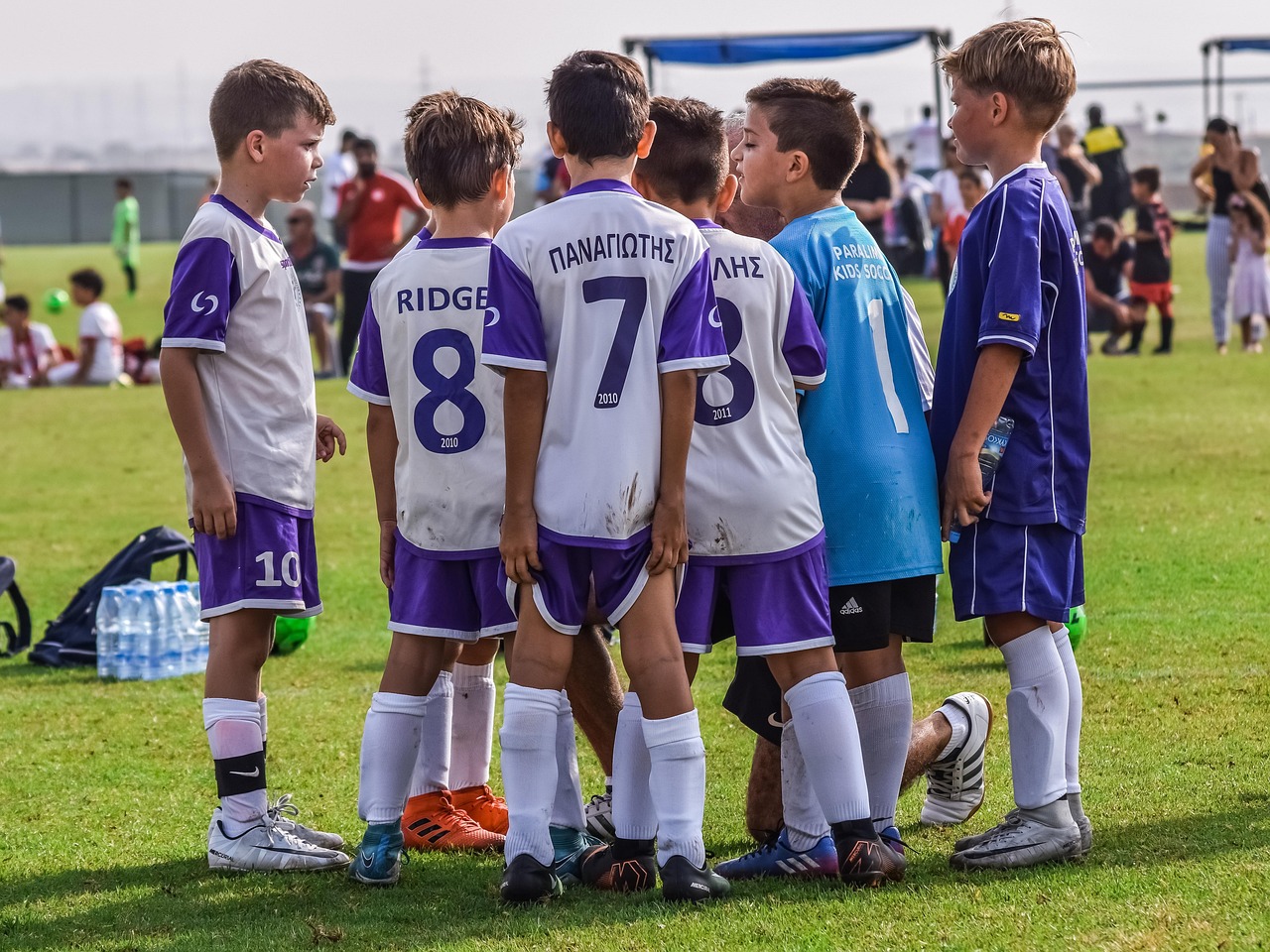 征途2S：苏州代理注册会计